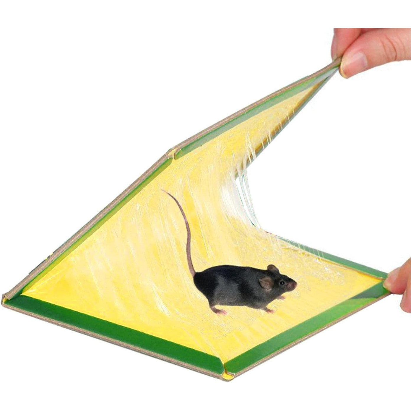 Set 30 Capcane cu Lipici pentru Șoareci și Insecte Tip Carte – Adeziv Puternic, Eficiență Ridicată