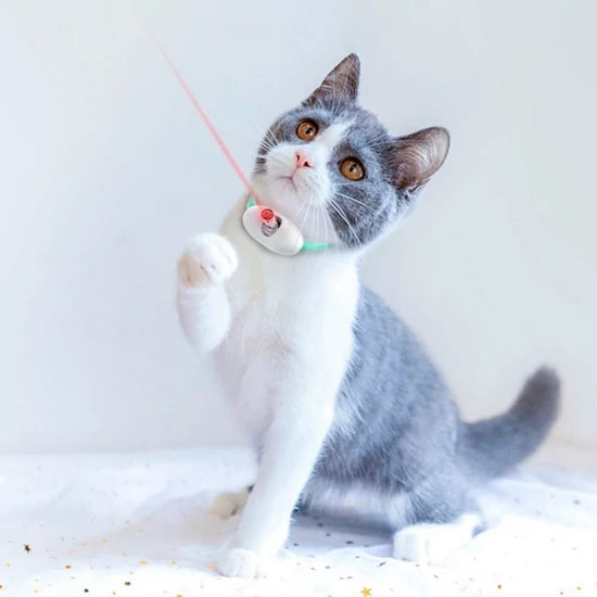 Zgardă cu Laser pentru Pisici – Jucărie Interactivă Reîncărcabilă USB, Reglabilă 22–33 cm, LED cu 2 Moduri, Oprire Automată